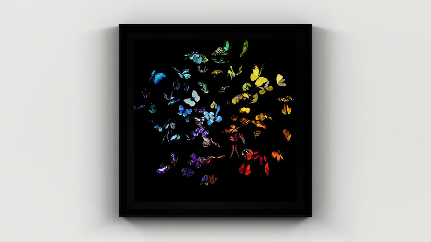アート・デザイン・音楽 Dreamscapes : Dominic Buttner Dominic Büttner – Dreamscapes: Bronfen, Elisabeth, Olonetzky